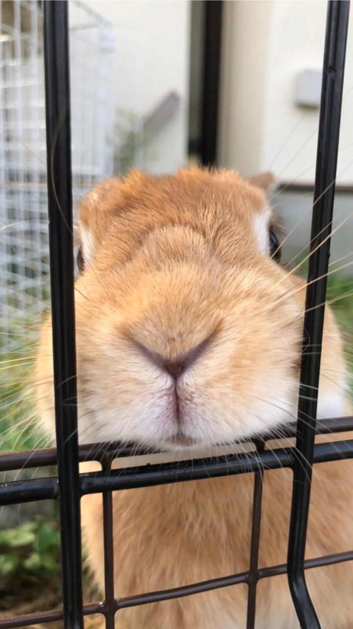 三方原北子ども会