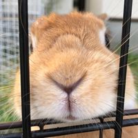 三方原北子ども会