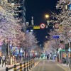 ․⁺ xɪᴀᴏʟɪᴜ韓國代購₊໒꒱ིྀ༝⁺
