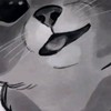 酷酷卡牌交流社（福袋、抽獎）