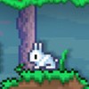 テラリアswitch版マルチプレイ交流場