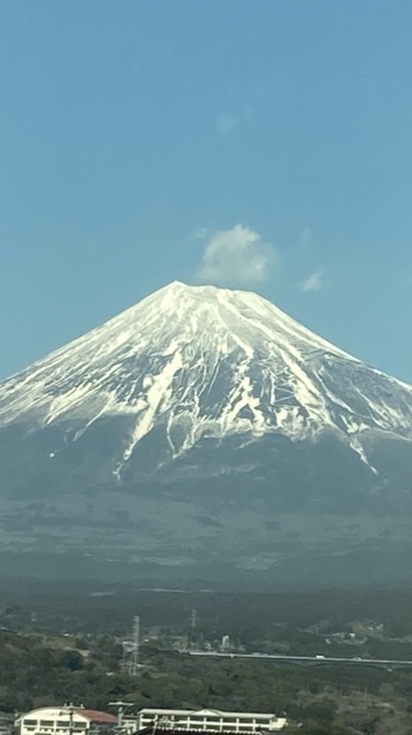 NEO右翼同盟