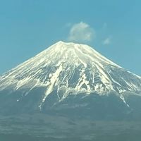 NEO右翼同盟