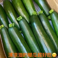 清凉沺蔬果選物大里區
