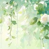 🍃enst わいわいしよう！🍃