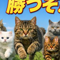 慢性腎臓病と戦う仲間達