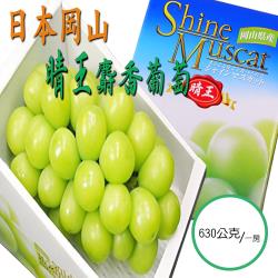 坤田水果 日本晴王麝香葡萄 (1箱)單箱1房630克