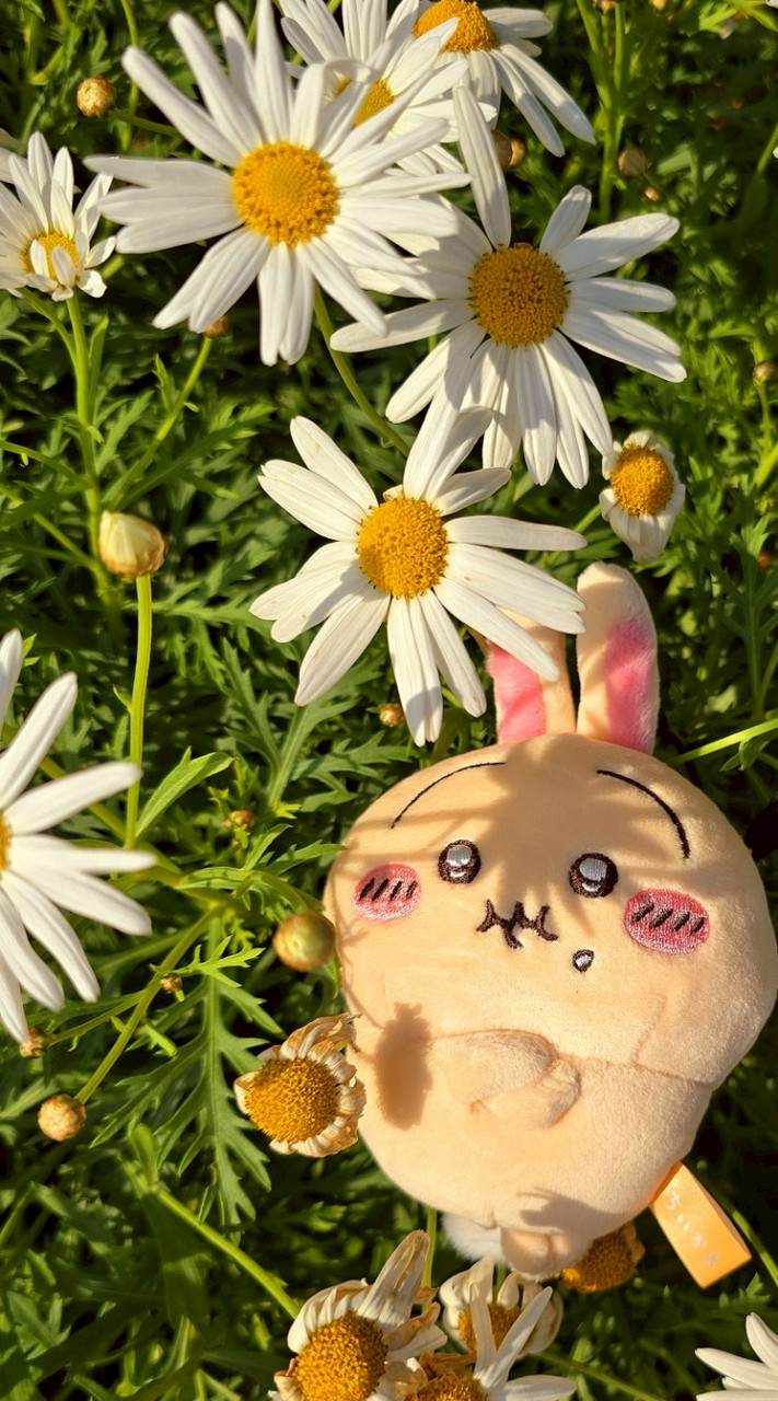 4月沖繩吉友代購群