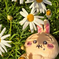 4月沖繩吉友代購群