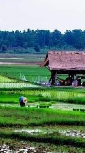 🌱🌻ชาวเกษตรสายเขียว🌱อารมณ์ดี..ตามทฤษฎีพ่อหลวง🌻🌱😂😘
