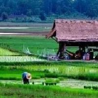 🌱🌻ชาวเกษตรสายเขียว🌱อารมณ์ดี..ตามทฤษฎีพ่อหลวง🌻🌱😂😘