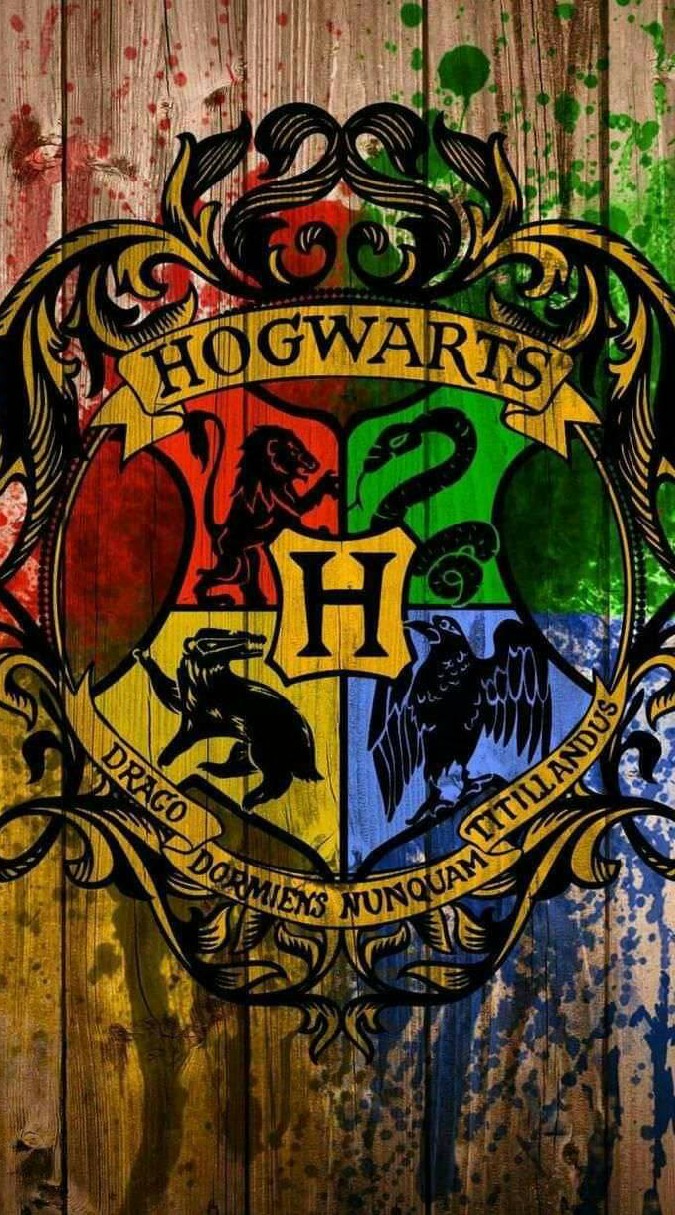 🚂Hogwarts School of Witchcraft and Wizardry🏰