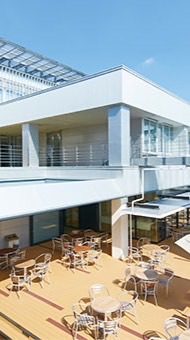 愛知淑徳大学2026新入生