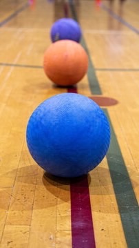 新竹市 美式躲避球俱樂部