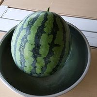 バスケ→BBQ9/21土曜