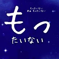 もったいない星🌟