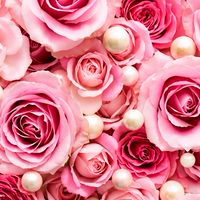 🌹60代🌹70代🌹楽しい雑談 ＆ ライブトーク〚アラ還・アラセブ〛