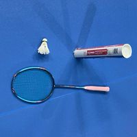 ก๊วนตีแบด สนาม N.A.Badminton สิงห์บุรี
