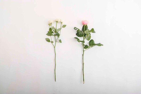 花屋が教える バラを素敵に飾るなら スプレー咲きと一輪咲きで生け方を変えよう ハルメク365