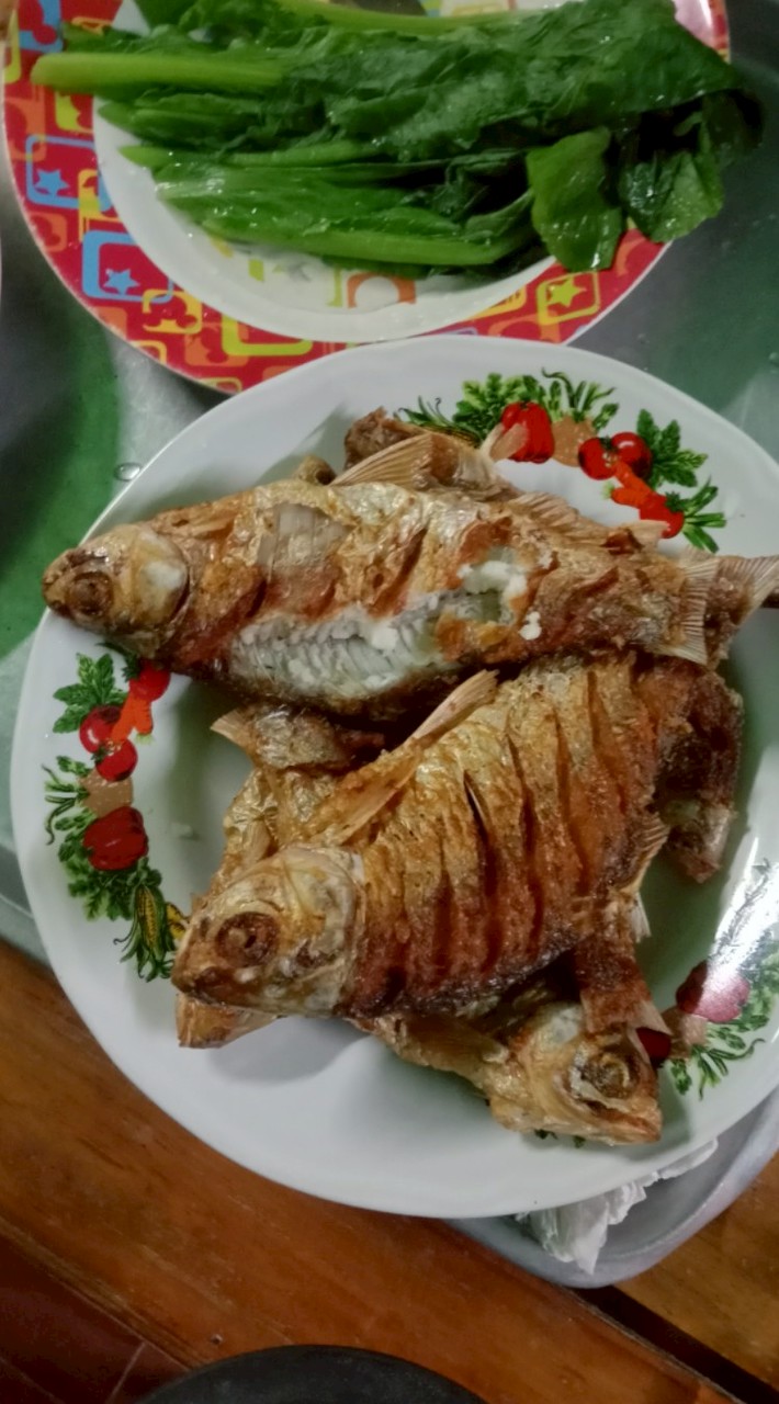 เทรดเดอร์สายตกปลา ธรรมชาติ