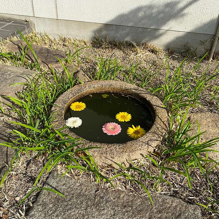 写真 大阪総合園芸センター オオサカソウゴウエンゲイセンター 南船場 長堀橋駅 フラワーショップ By Line Place