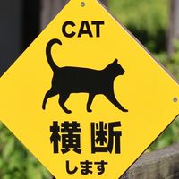 JTSU-E新宿運輸区分会連絡帳