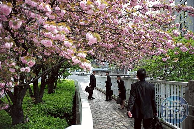 攝影筆記 好想去日本 尚未自肅的東京樣貌 鏡週刊 Line Today