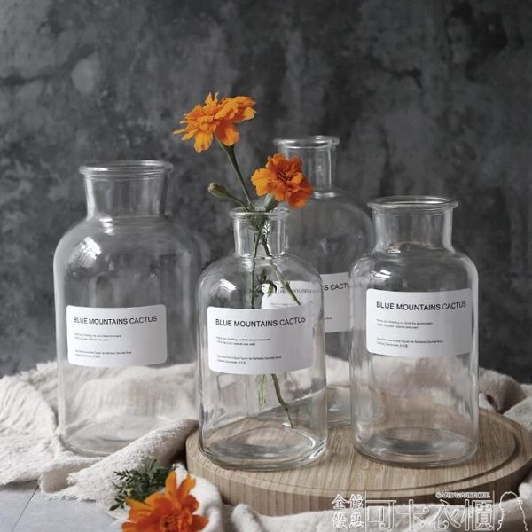 舍里 北歐ins風格小花瓶水培透明玻璃鮮花插花瓶家居擺設拍攝道具 可卡衣櫃