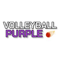 VOLLEYBALL PURPLE 🏐🟣
