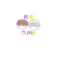 月亮雜貨鋪