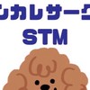インカレサークルSTM(エスティーム)
