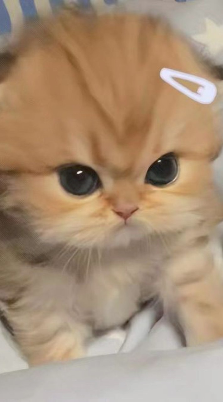 คุยเล่น/หาทุกอย่างได้เลยค่ะ