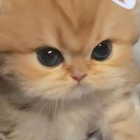 คุยเล่น/หาทุกอย่างได้เลยค่ะ