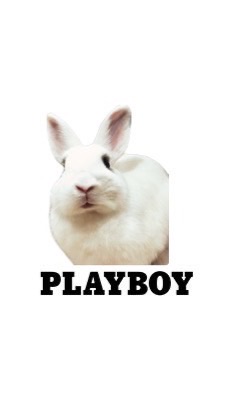 🐰PLAYGAME-01