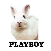 🐰PLAYGAME-01