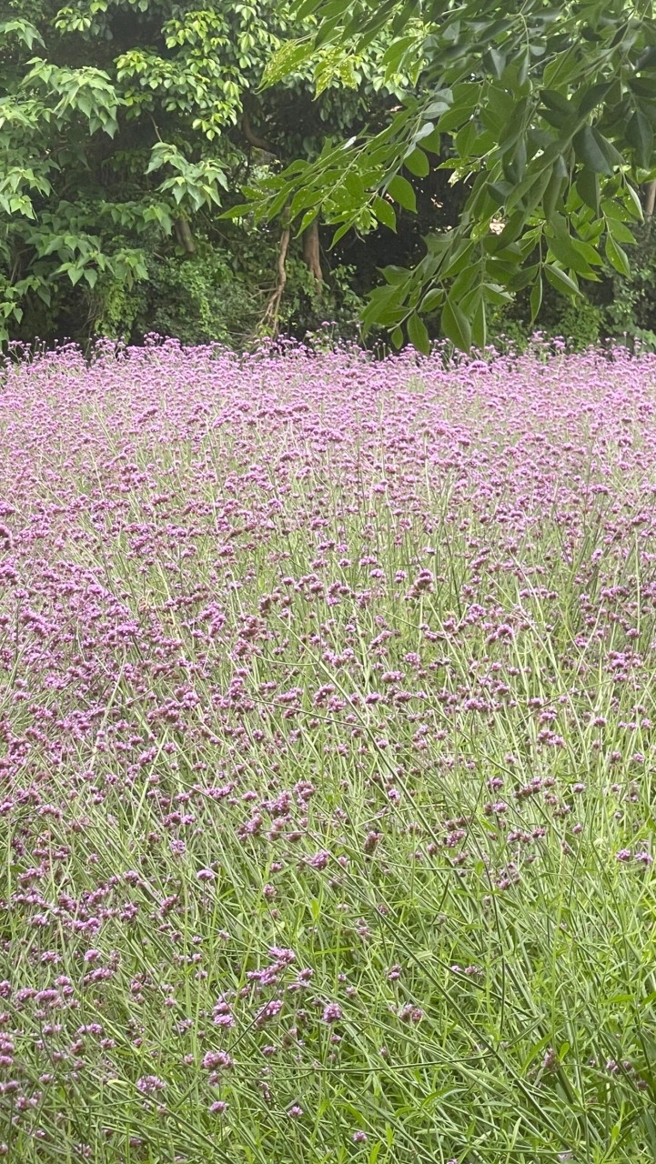 50+從容自在過好餘生