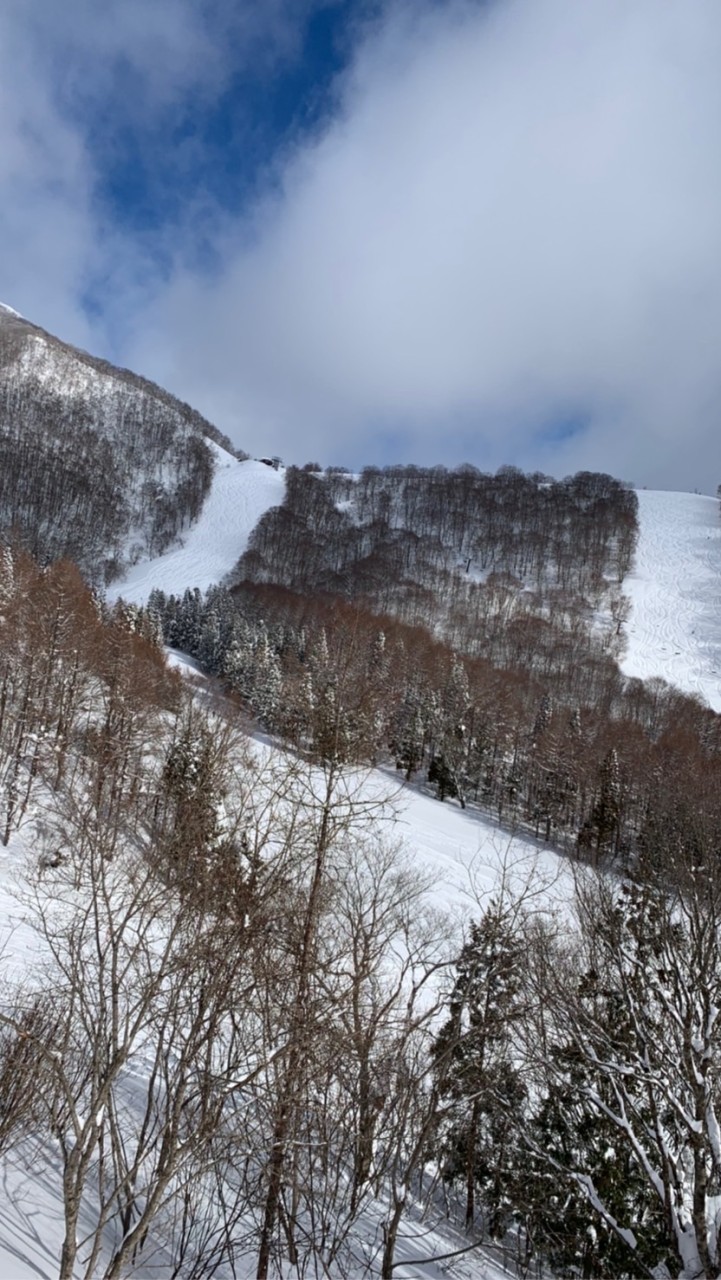 🏄‍♀️LACよこのりくらぶ🏂のオープンチャット