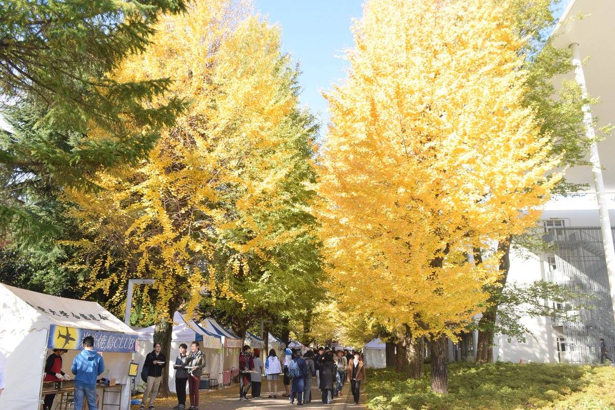 日本校園秋季好忙！文化祭、學園祭、體育祭通通報到