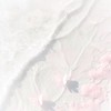 Jellycat ᰔ 三麗鷗 澳門/日本🇯🇵沖繩連線代購 地區限定全品相代購𖦹‎𖦹‎.ᐟ.ᐟ  