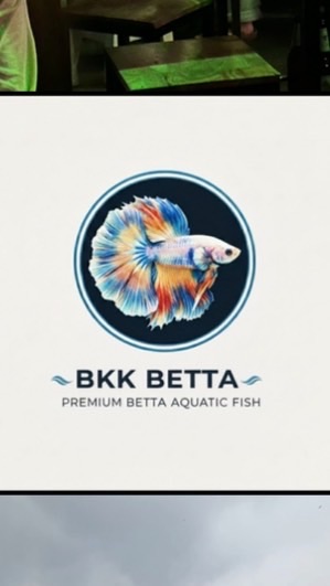 Bkk betta house