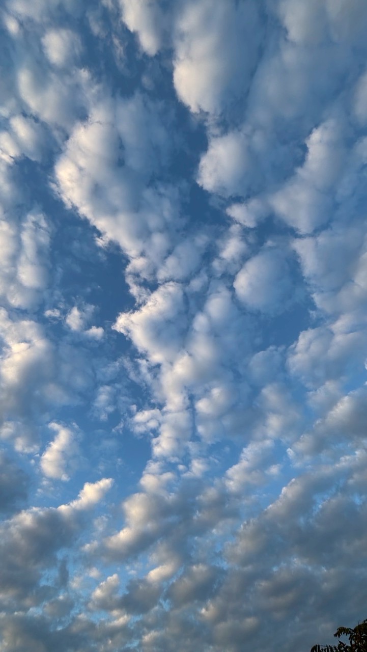 裝扮與流光