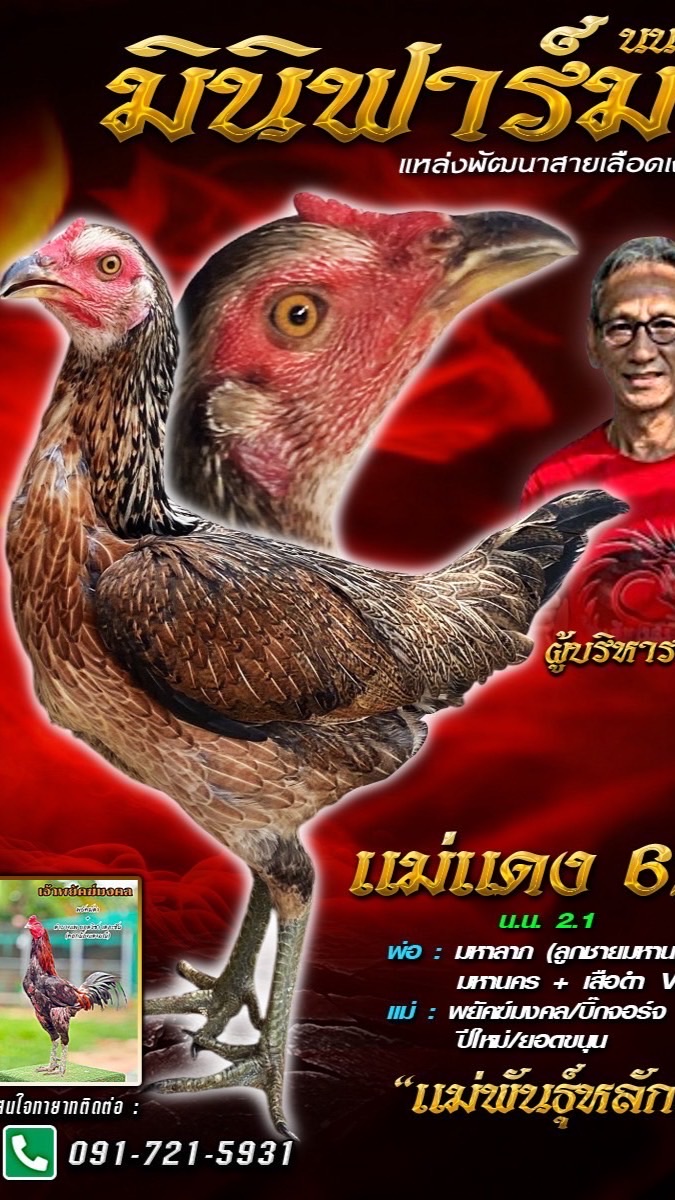 มินิฟาร์ม นนทบุรี