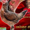 มินิฟาร์ม นนทบุรี