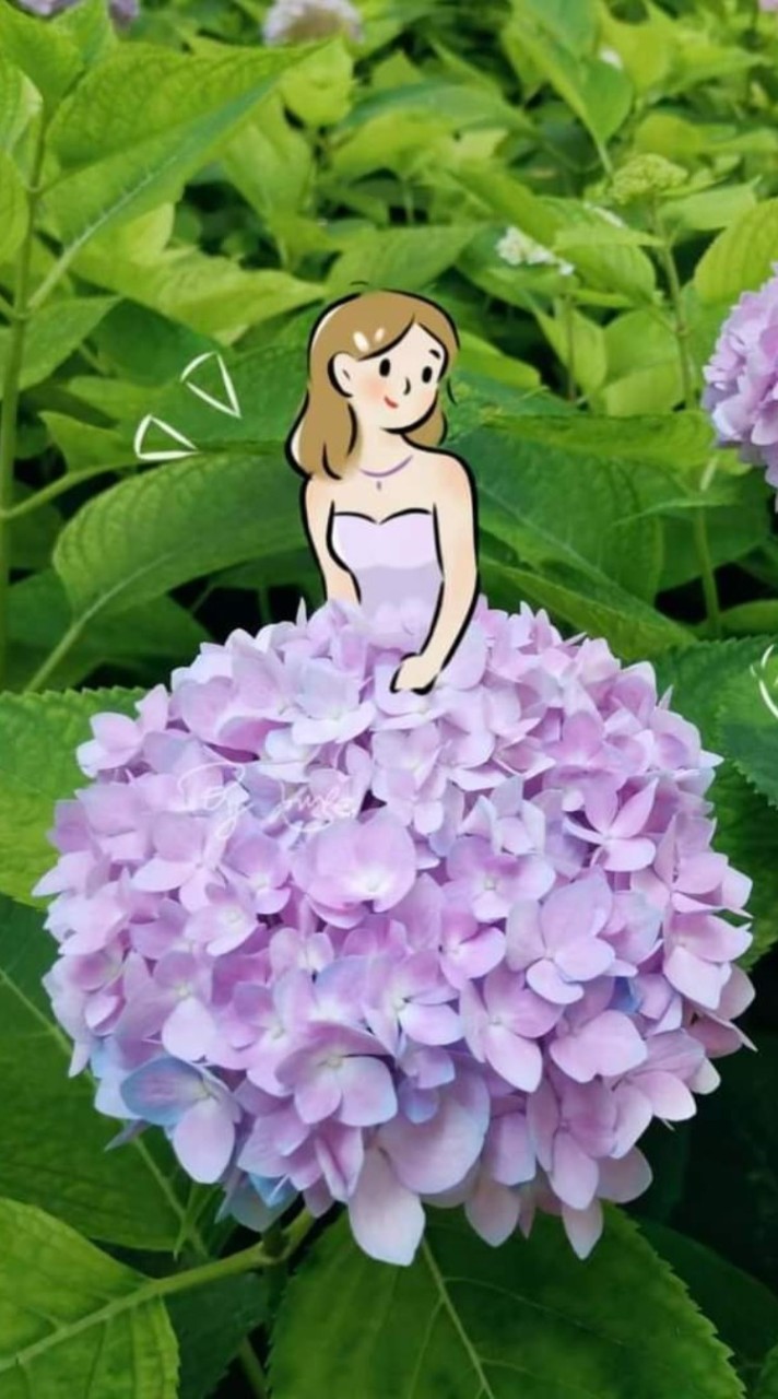 ☘️🌸kkmolly shop☘️🌸