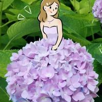 ☘️🌸kkmolly shop☘️🌸