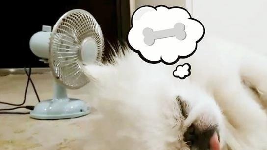 夏日降溫的好幫手！有了它你的夏天輕鬆過～