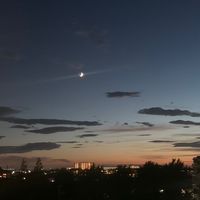 「わたし」に戻るマインドフルネス🌜✨
