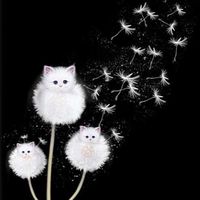 Ｍeow❣️倖せの綿毛🌼.*