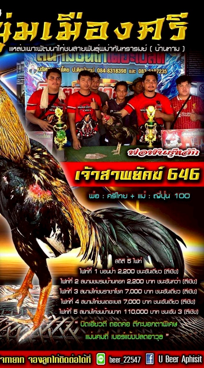 ซุ้มไก่ชนหนุ่มเมืองศรี(เซียนยุคใหม่)