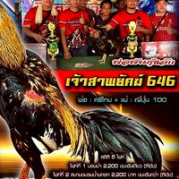 ซุ้มไก่ชนหนุ่มเมืองศรี(เซียนยุคใหม่)